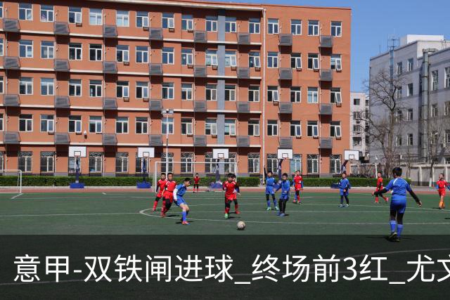 意甲-双铁闸进球 终场前3红 尤文2球落后2-2战平